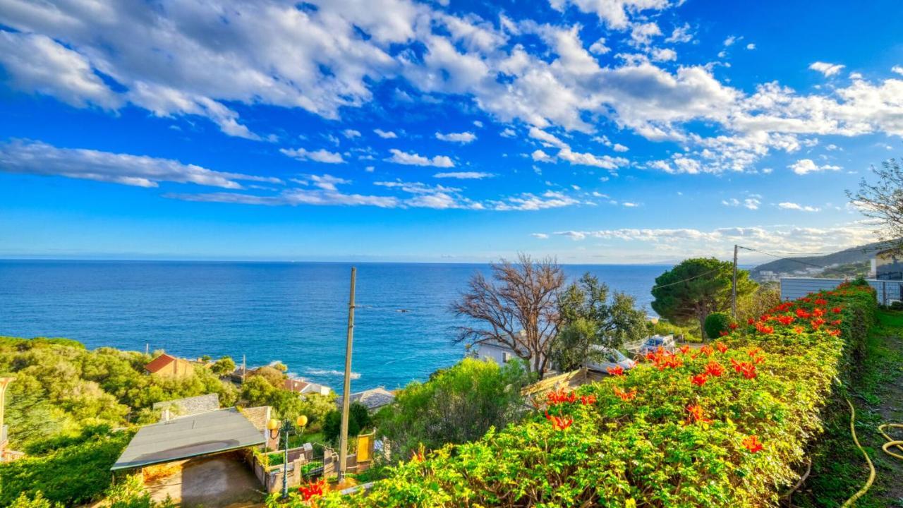Studio Plage Santa-Maria-di-Lota Dış mekan fotoğraf
